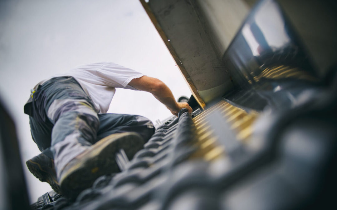 To Buy or To Rent: How Ladder Hires Can Be Beneficial